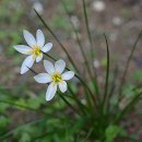 채송화어린이공원 이미지