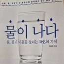 물이 나다 - 채송화 지음 ** 이미지