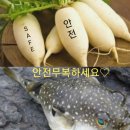 11월 04일 지리산 단풍투어 후기 (부제 : 멘탈을 잡아라) 이미지