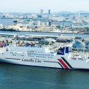 카멜리아 이미지