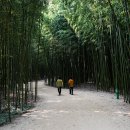 오복함바식당 이미지