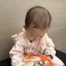 루솔 간부식 9개월 아기 간식 | 과채과자 바로칩 |