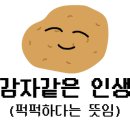 벙커구장 네이버블로그