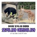 어린이 나라 | 오키나와 어린이 나라 동물원 수유실 기념품 숍 후기