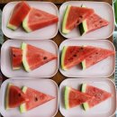 희망나무요양원 이미지