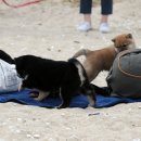 거운농장 이미지