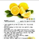 아로마전문관리사 2급 이미지