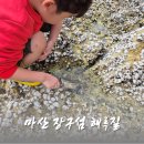 창원 마산 장구섬 해루질 갯벌 체험 방문기