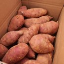 서아농장 이미지