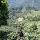 송수농장 이미지