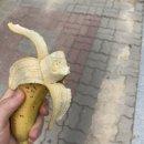 아리울천국 | [일상 기록] 21.05.29-06.05 ❤️