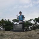 명산송이판매