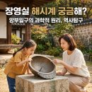 강우량측정 | 장영실 해시계 궁금해? 앙부일구의 과학적 원리, 역사탐구