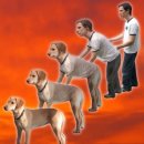 명동경로당 | 26/1