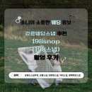 [야외스냅] 강릉야외웨딩스냅 추천 198스냅 촬영 후기 (원데이)