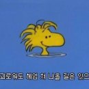 투썸플레이스논산 - 논산시 시민로210번길 5 | 투썸플레이스논산