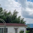 송백펜션 이미지