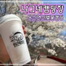 윙윙흑염소 | 논산연산군벚꽃캠핑장 연산나그네캠핑장에서 벚꽃구경했어요.