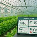 와이즈팜 이미지