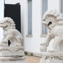 中 돌아가는 간송 석사자상…"문화유산, 본래 자리서 가장 빛나" 이미지