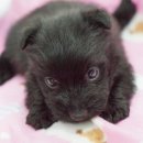 몽글몽글 이미지