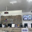 올리브여성의원 | 임신 준비 기록(산전검사/AMH/호르몬/나팔관 조영술) / 올리브, 연세 W, 메디아이까지 산부인과 유목민