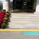 생활원예관리사 이미지