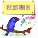 먼내길 Daum카페