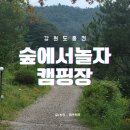 단풍이나무 숲, 신생캠핑장! 사이트넓은 캠핑장 _ 숲에서놀자 캠핑장 명당자리 추천.