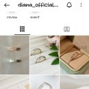 다이아나투어 이미지