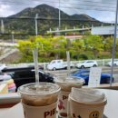 석화꽃무지 풀무지 유치원 이미지