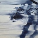 (주)지성소프트 이미지