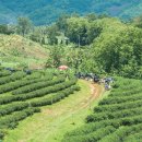 인경농장 이미지