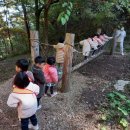 배꼽 유아숲체험원 Daum카페
