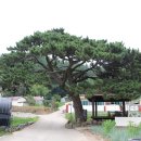 곰솔 경로당 이미지