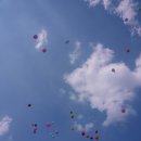 양평 드림캠핑장 이미지