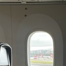 개편하개 이미지