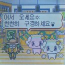 주식회사 모하게임즈 | ॰｡ཻ˚♡ 대만여행을 곁들인 3월 소비리스트 - ♡✧。