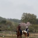 주식회사 월드승마학교 이미지