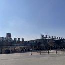 연천-7 | 연천 5사단, 전곡리유적 맛집 존맛 망향비빔국수 본점 내돈내산 솔직후기