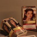 스테디헤어 이미지