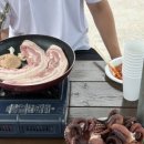 몽돌민박 - 완도군 용항길 243 | 통영 비진도 해변민박 후기