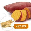 강아지 간식 추천 - 조이펫) 리얼순 고구마 황태 말이 후기