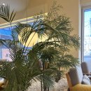 도곡초등학교 | 대치동 미용실 무이 한티점 이슬 디자이너 후기 _ 초등학생 펌