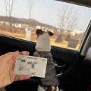 덕수동물병원 이미지
