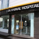 로아동물병원 이미지