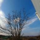 뒤뜰농장 이미지