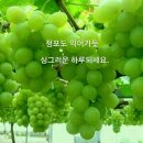 고운님 12시15분겸 들려주세요 이미지