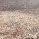 앙성초 영죽분교 이미지