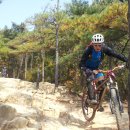 파스코스 이미지